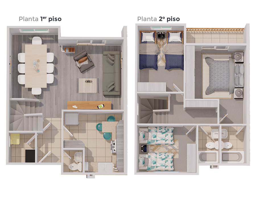 planta_nahuen